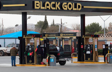 Black Gold